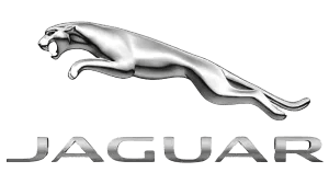 Jaguar - Southeastern Keys