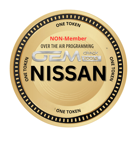 Nissan Over the Air Programming / NON-MEMBER TOKEN - Southeastern Keys