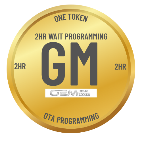 GM Over the Air Programming (2HR WAIT)